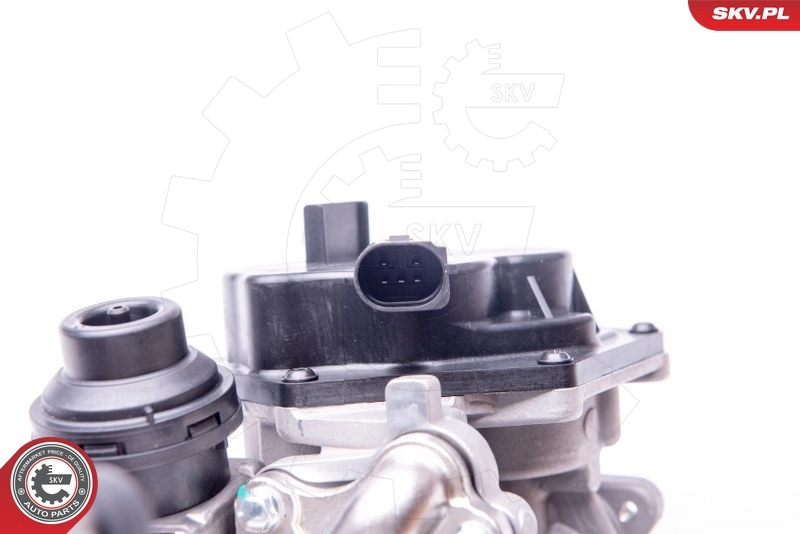EGR Valve